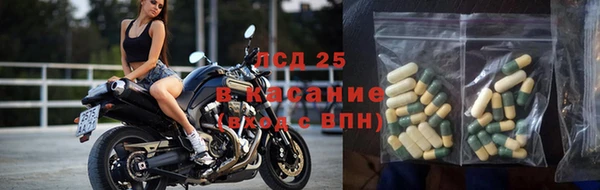 прущие крисы Богородицк