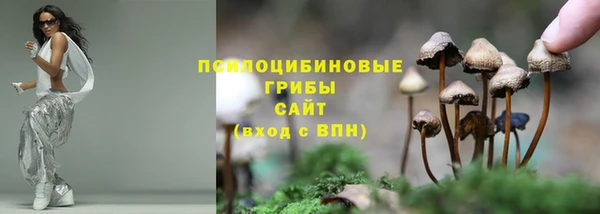 марки nbome Белокуриха