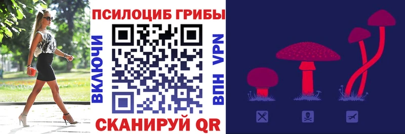 Галлюциногенные грибы Magic Shrooms  Купить  Юрга 
